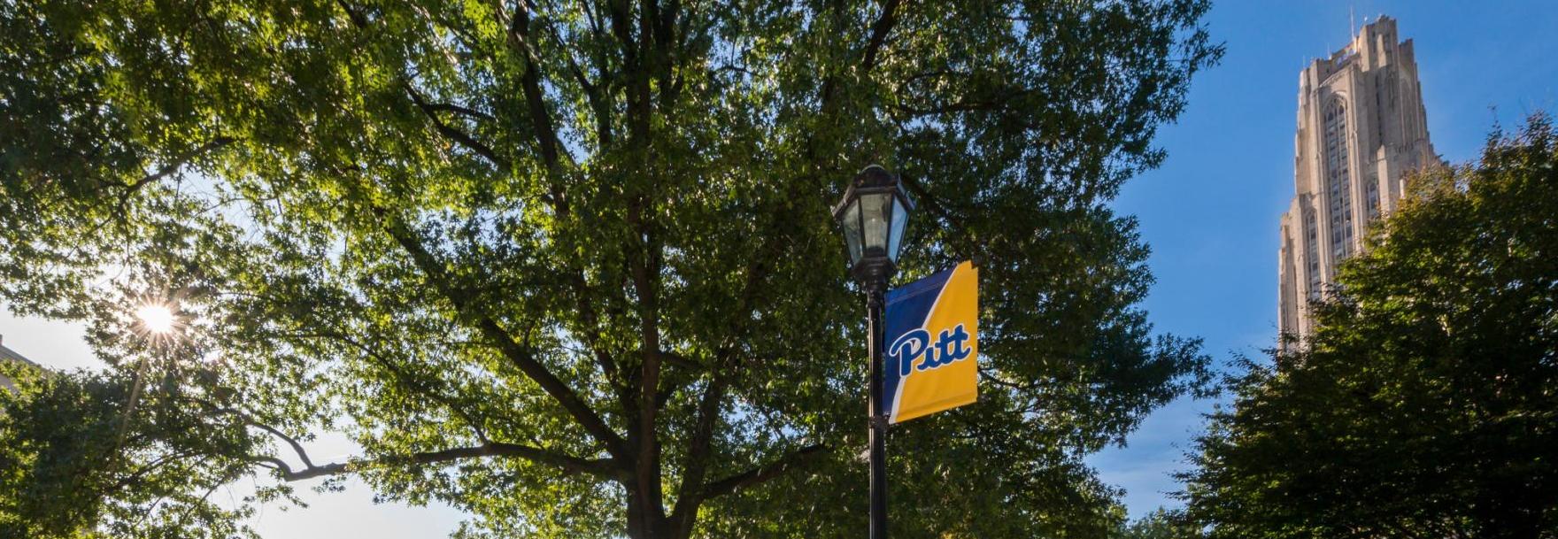 Pitt flag and Cathedral